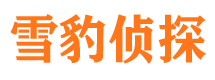 南丰寻人公司